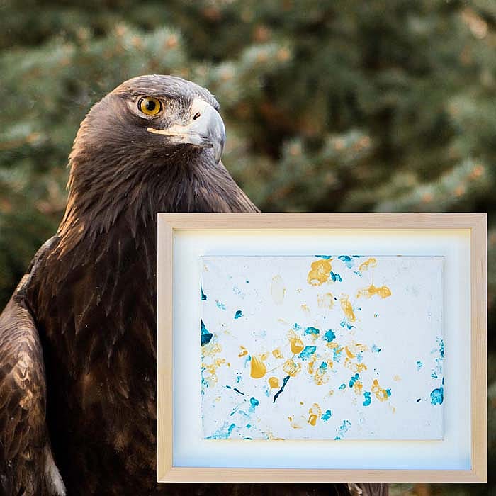 Patrons Ball Silent Auction: "Autumn on Sage" painting by Kateri the golden eagle