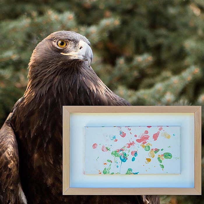 Patrons Ball Silent Auction: "Bountiful Harvest" painting by Kateri the golden eagle