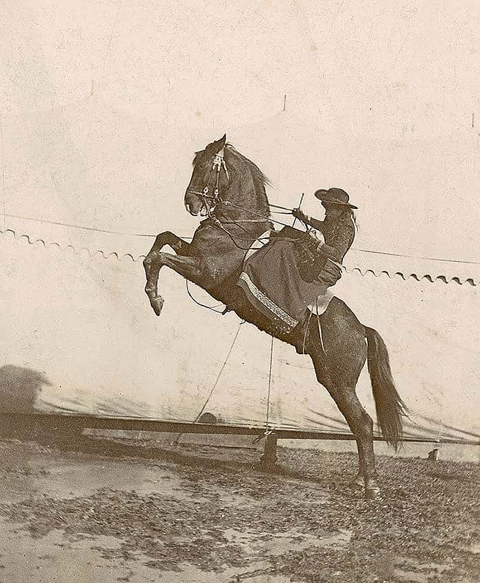 Annie Oakley riding side saddle on rearing horse. MS6 William F. Cody Collection. P.69.930