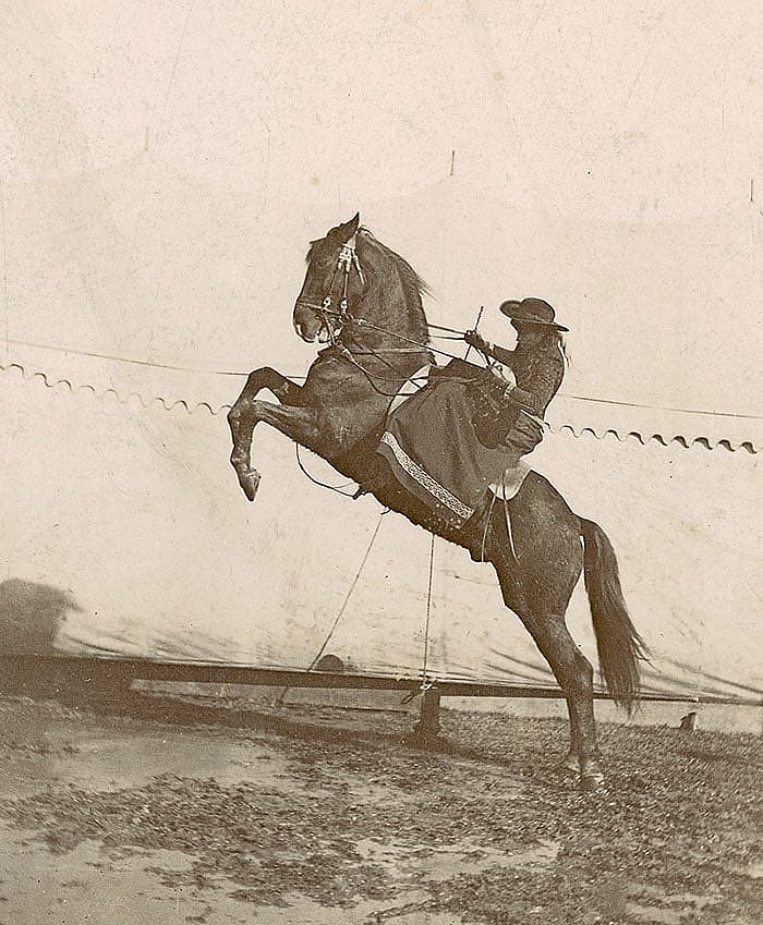 Annie Oakley riding side saddle on rearing horse. MS6 William F. Cody Collection. P.69.930