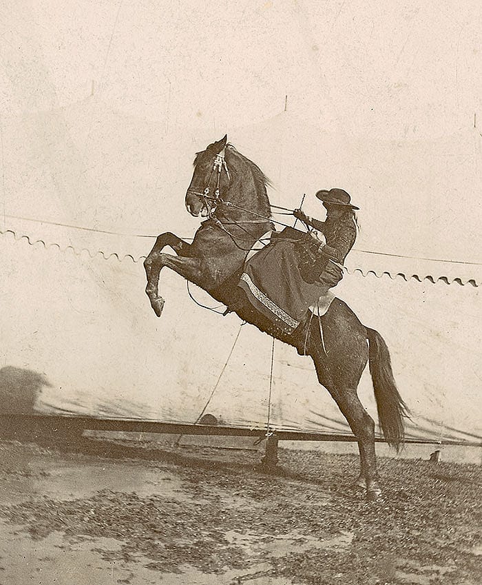 Annie Oakley riding side saddle on rearing horse. MS6 William F. Cody Collection. P.69.930