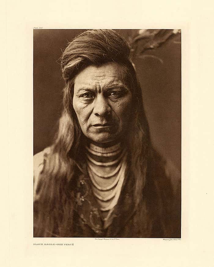 Black Eagle, Nez Perce, 1905. Photo by E.S. Curtis, from The North American Indian.