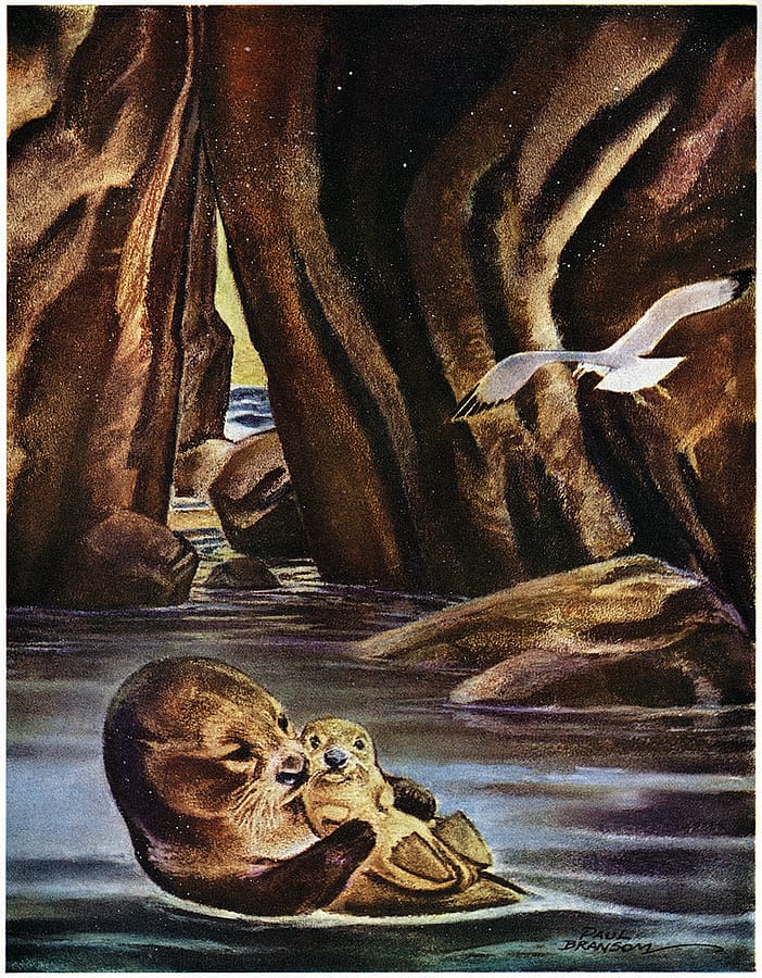 From "The Last of the Sea Otters."