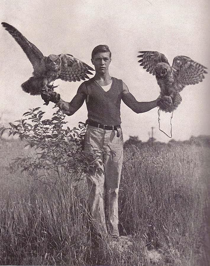 Two great horned owls, eager to be on the wing, are perched on Frank Craighead's gloved fists, page 124.