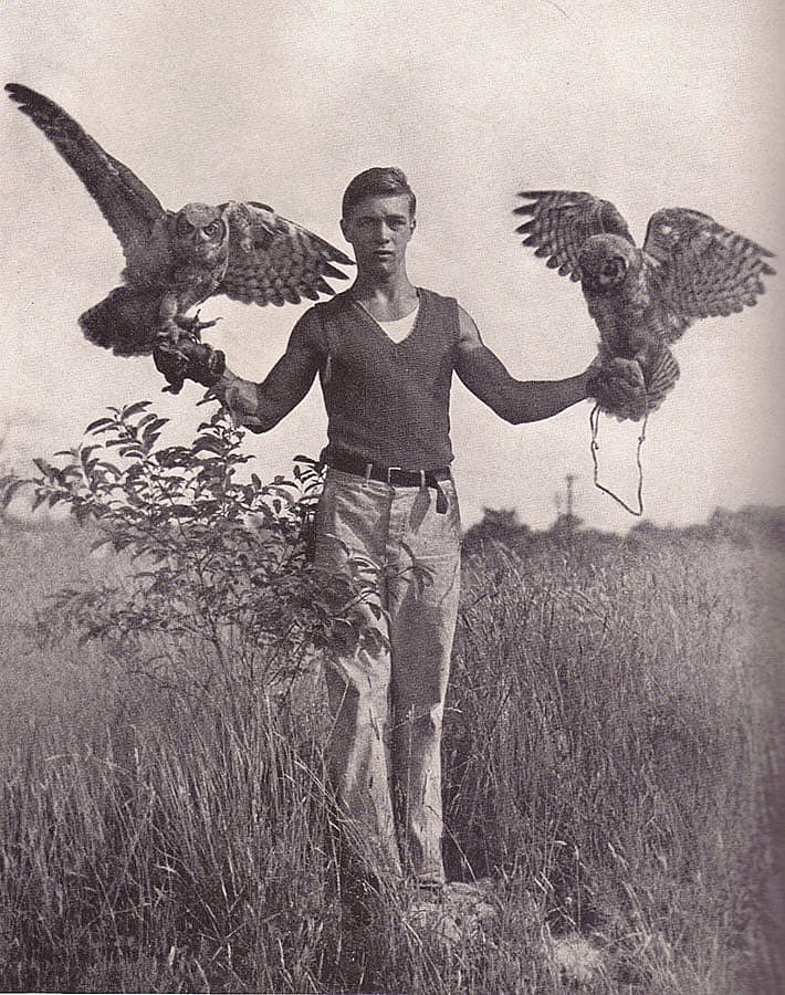 Two great horned owls, eager to be on the wing, are perched on Frank Craighead's gloved fists, page 124.