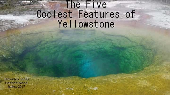 The Five Coolest Features of Yellowstone