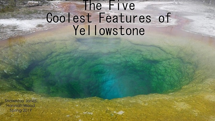 The Five Coolest Features of Yellowstone