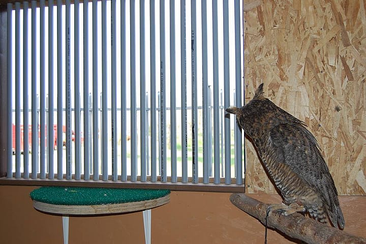 "What is going on out there?!"