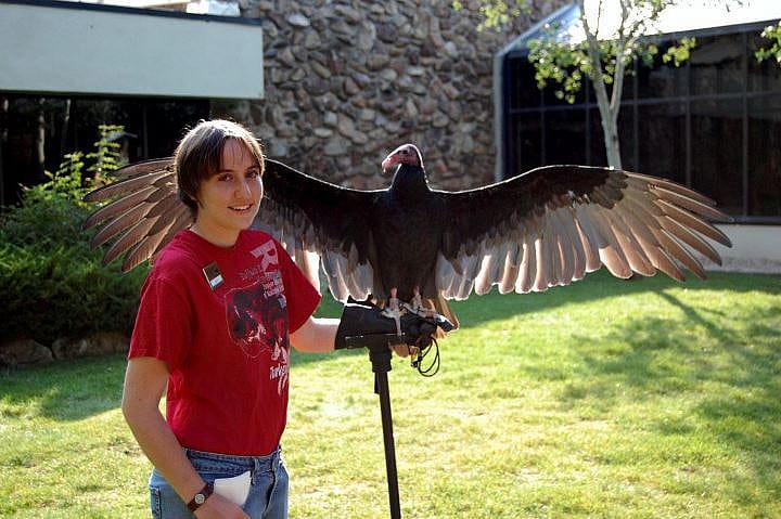 Suli and Sarah putting on a show for the crowd at the Center of the West Greater Yellowstone Raptor Experience