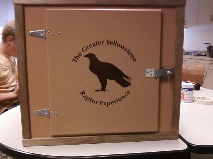 Our red-tailed hawk's travel box