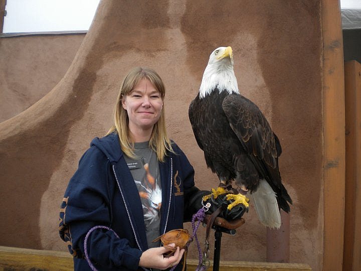 Me with Magissawa, a bald eagle.
