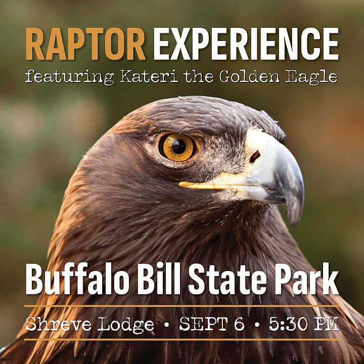 Raptor Program BB State Park