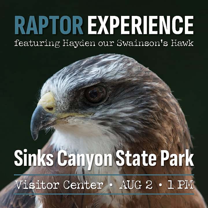 Raptor Program at Sinks Canyon
