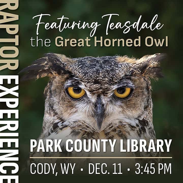 Teasdale at the Park Country Library