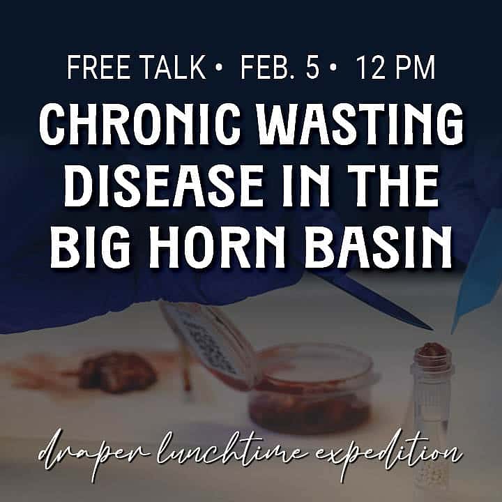 Feb 5 Lunchtime Expedition