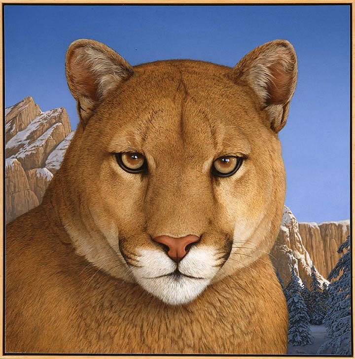 Tom Palmore's 'Where Elegance Meets Fear,' part of 'Today's West!' exhibition. 22.96