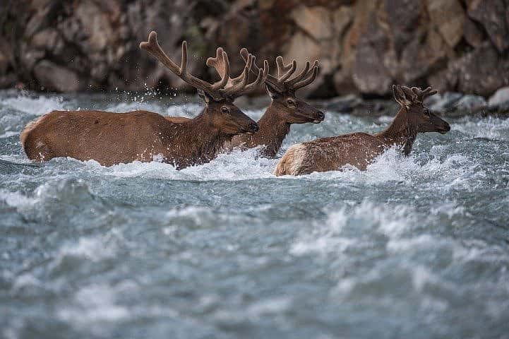 Photograph by Joe Riis.