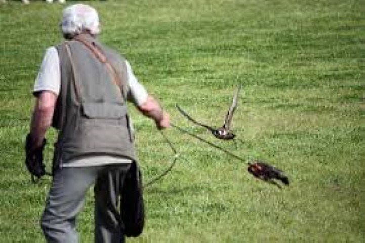 Gentleman swinging a lure for his falconry bird.
