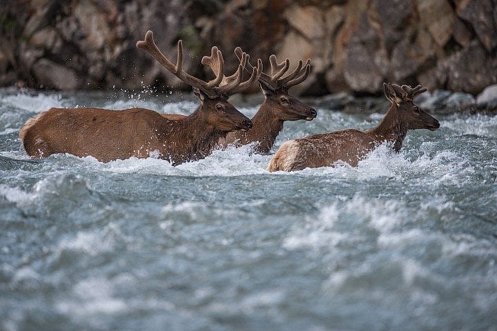 Photograph by Joe Riis.