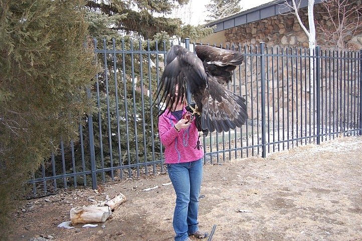Kateri returning to the glove.