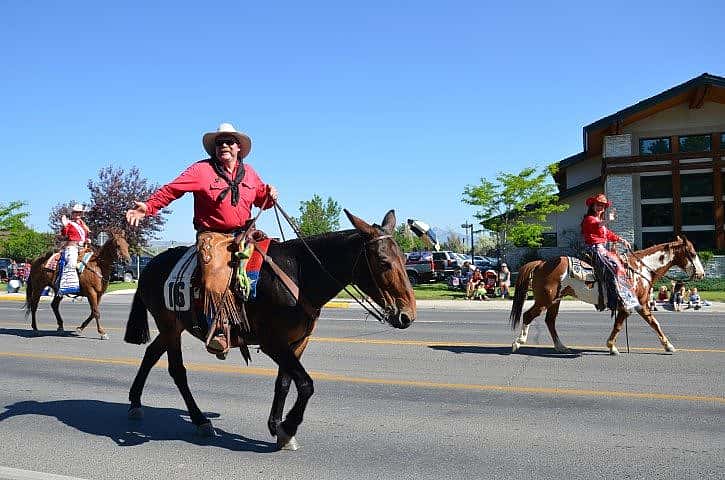 Outrider and Rodeo Royalty