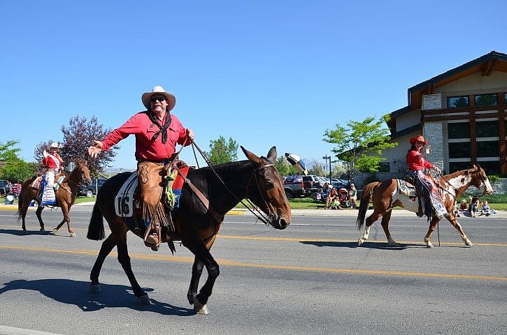 Outrider and Rodeo Royalty
