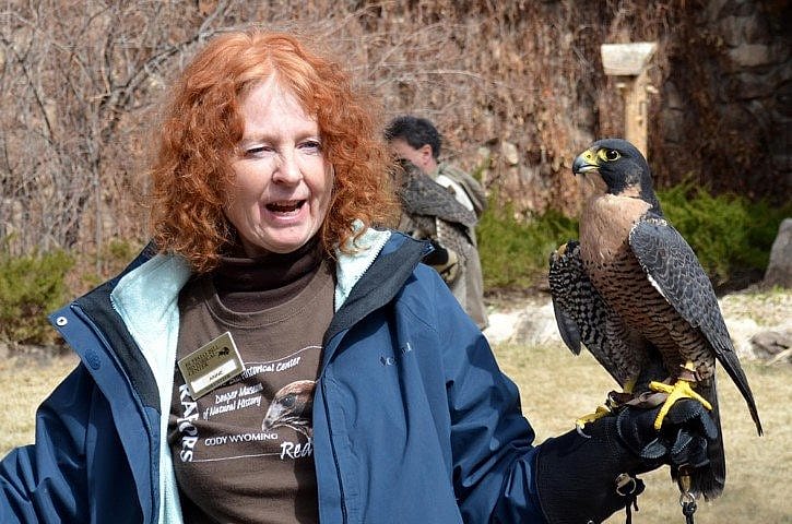 Hayabusa and myself. This is what a peregrine falcon looks like.
