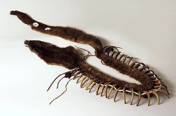 Bear Claw Necklace, Chahiksichahiks (Pawnee), ca. 1830. The Paul Dyck Plains Indian Buffalo Culture Collection, Buffalo Bill Center of the West. NA.203.1413