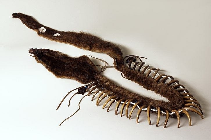 Bear Claw Necklace, Chahiksichahiks (Pawnee), ca. 1830. The Paul Dyck Plains Indian Buffalo Culture Collection, Buffalo Bill Center of the West. NA.203.1413