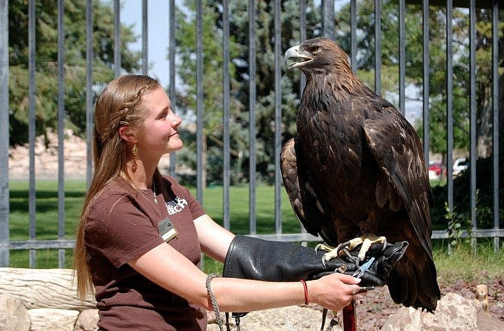Nicole and Kateri, the golden eagle. Kateri weighs more than 12 pounds.