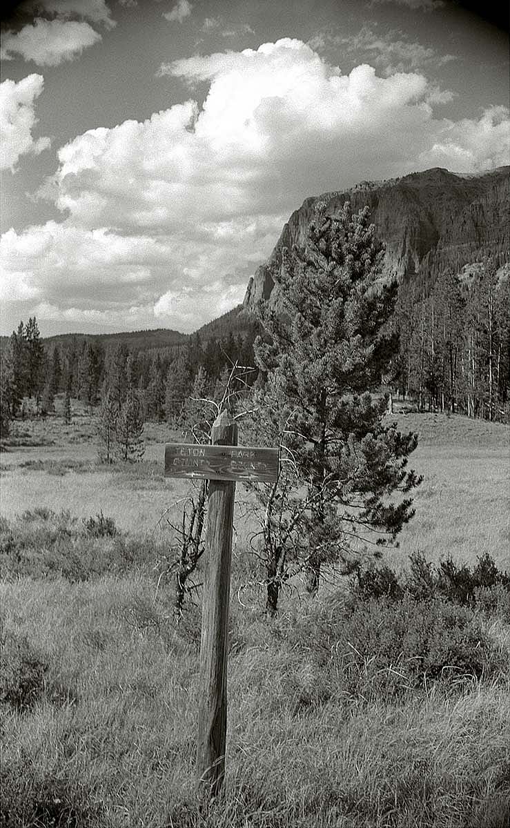 The Thorofare Creek pack trail crosses the boundary between Park and Teton counties in the 