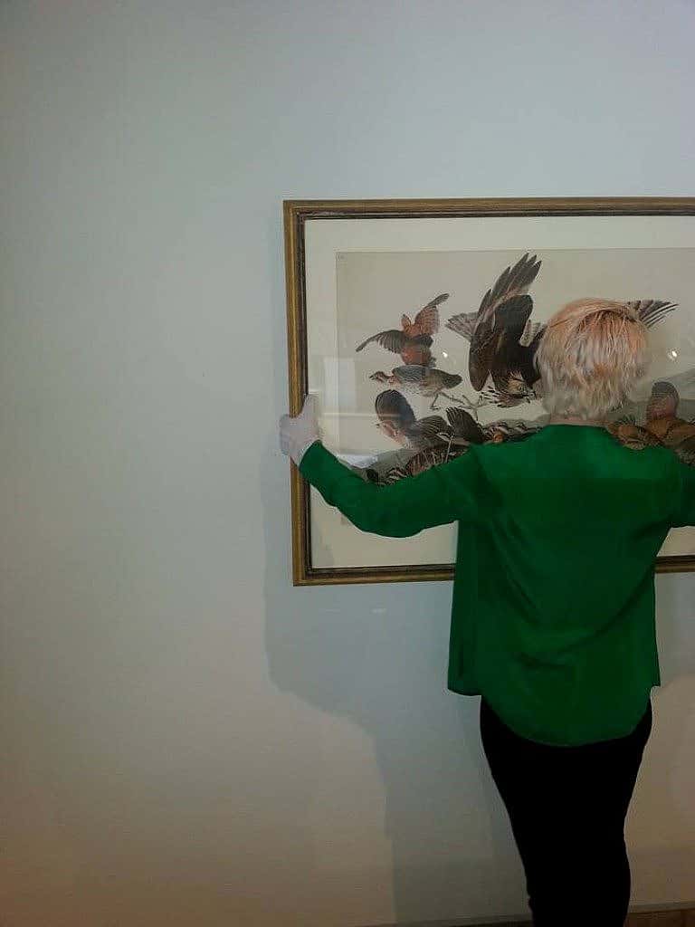 Deinstalling Audubon and Friends