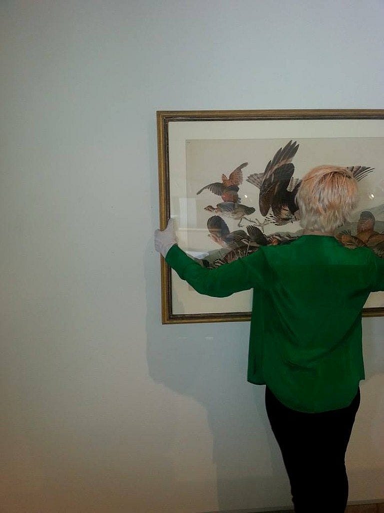 Deinstalling Audubon and Friends