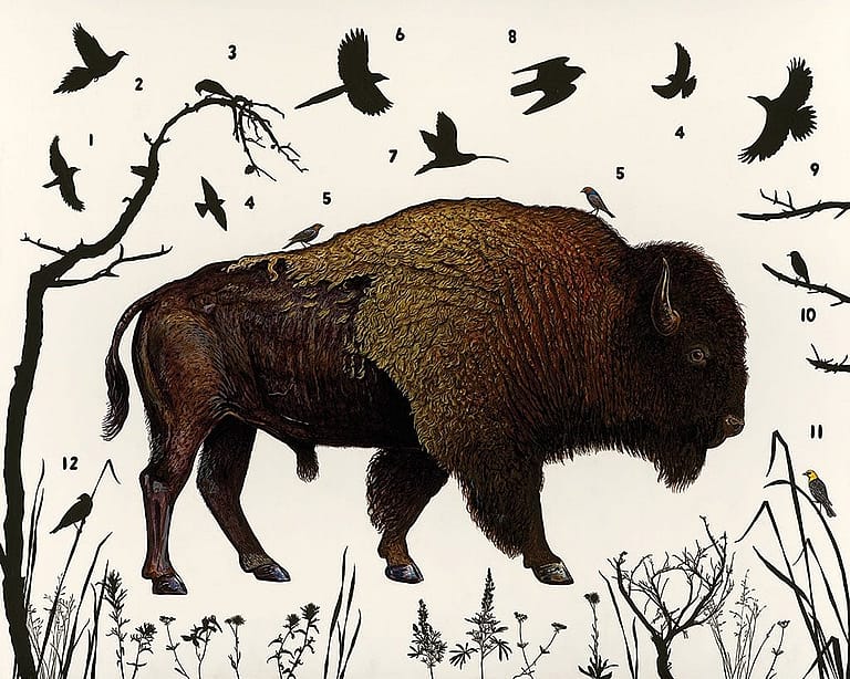James Prosek's "American Bison (Wyoming)," 2014. Oil, acrylic, and mixed media on wood panel.