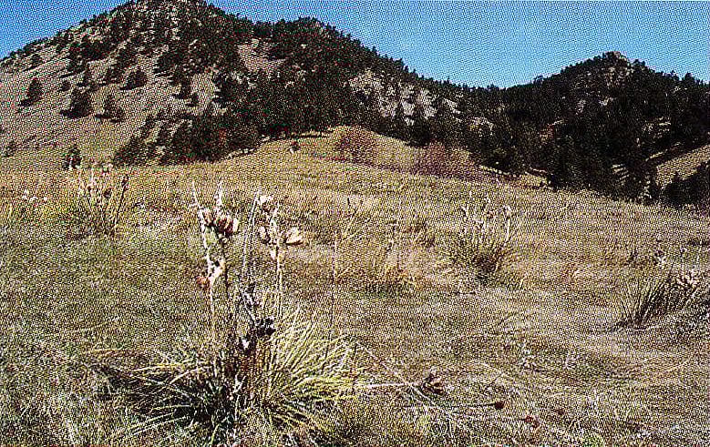 Bear Butte, Black Hills, South Dakota, 1988. Courtesy of South Dakota Department of Tourism.