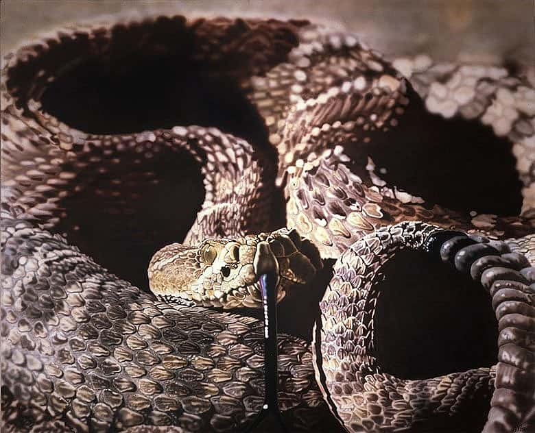 A Treasure from Our West: Prairie Rattler by Don Coen. 10.11