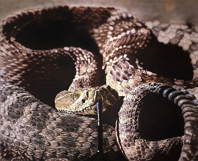 A Treasure from Our West: Prairie Rattler by Don Coen. 10.11