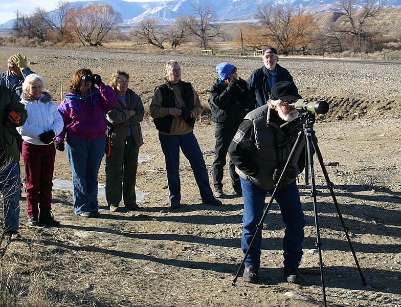 A winter wildlife trip