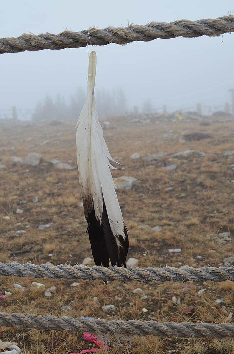 An eagle feather flutters in the breeze at Medicine Wheel in the Bighorn Mountains of Wyoming.