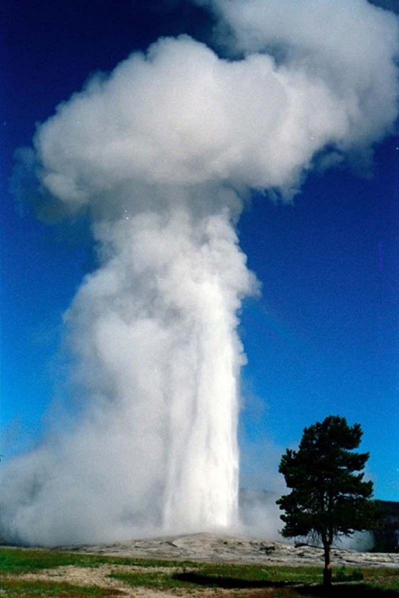 Old Faithful by Bob Richard. Courtesy Bob Richard.
