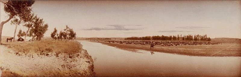 "Hot noon beside the roundup camp. Big Dry, Montana." L.A. Huffman's willingness to carry his large glass plate camera with him allowed him to capture aspects of cowboy life on the open range. This contact print, colorized by Huffman, is part of his studio collection. MS 100 L.A. Huffman Collection. P.100.3626