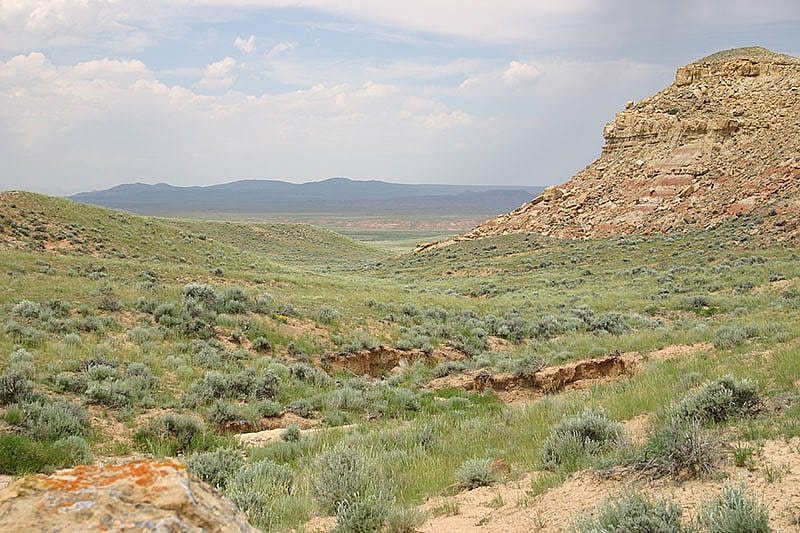 Sagebrush steppe landscape. Photo by C.R. Preston.