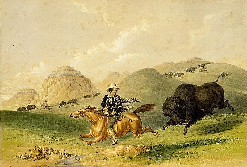 George Catlin (1796-1872). "Buffalo Hunt, Chasing Back," 1844. Hand-colored lithograph, 17 3/4 x 13 in. Gift of Mrs. Sydney T. Miller. 21.74.12