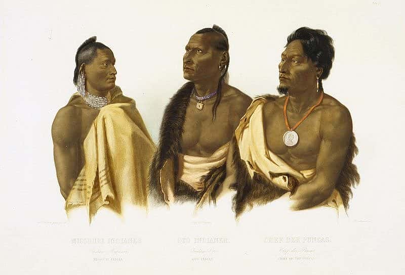 Karl Bodmer's 'Missouri Indian, Oto Indian, Chief of the Poncas.' 21.69.7