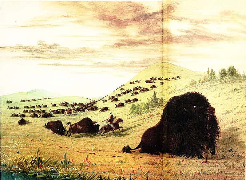 George Catlin (1796-1872). "Buffalo Hunting," 1863. Oil on board, 16 x 21 1/4. Autry Museum of Western Heritage, Los Angeles, California.