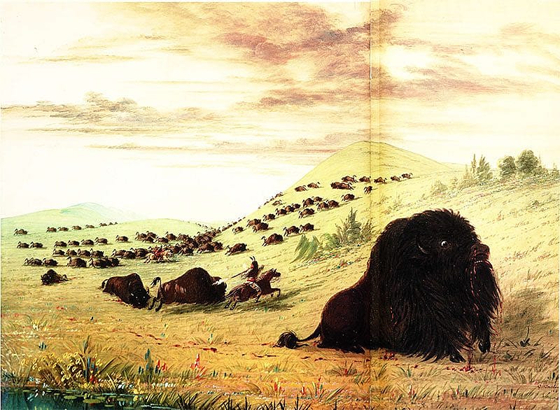 George Catlin (1796-1872). "Buffalo Hunting," 1863. Oil on board, 16 x 21 1/4. Autry Museum of Western Heritage, Los Angeles, California.