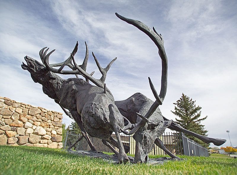 T.D. Kelsey (b. 1946), "Royal Challenge," 1991, cast 1/7. Bronze, 60 x 60 x 120 inches. Sidni A. Kelsey Collection donated by her loving husband. 14.12.8