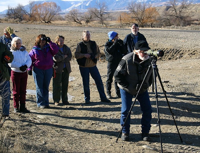 A winter wildlife trip