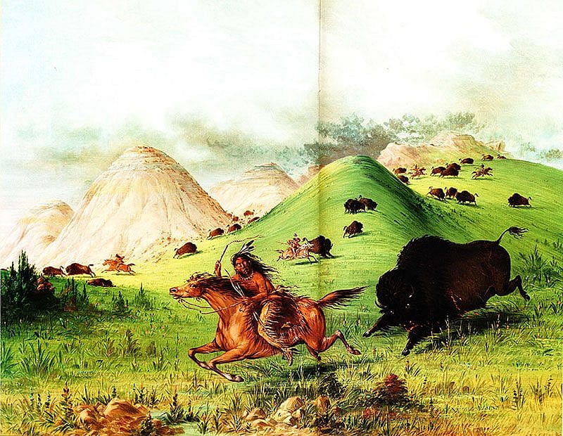 George Catlin (1796-1872). "American Buffalo Hunt, Chasing Back," 1846. Oil on canvas, 25 1/2 x 32 in. Gilcrease Museum, Tulsa, Oklahoma.