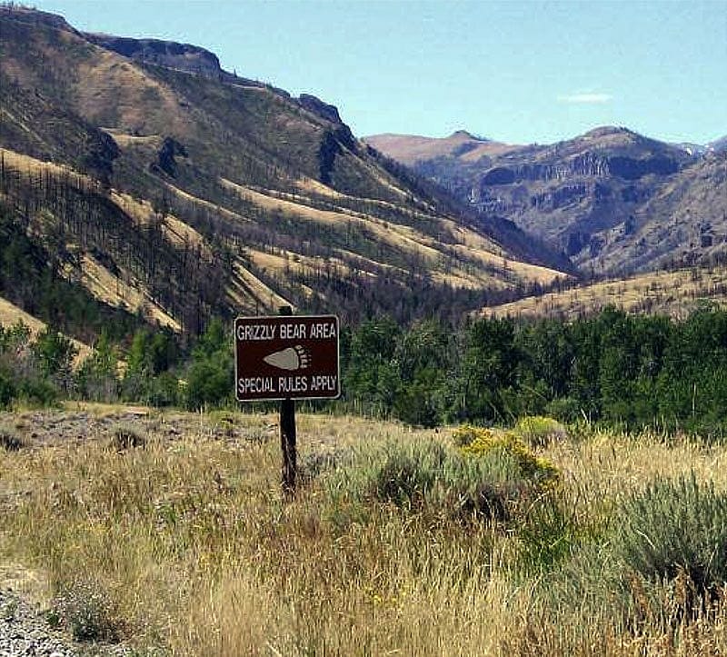 The "Grizzly Bear Area" sign in the Upper Greybull River Valley was an ironic twist for the two professors trailing a bear named Wahb. Photo courtesy Jeremy Johnston.